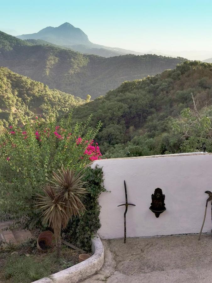 Naturaleza Y Arte En La Casa Del Molino Хенальгуасіль Екстер'єр фото